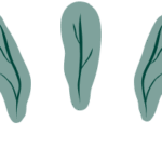 organic-farming-illustrations-07b-1